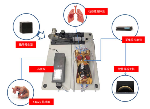 WEK-RLFMA02活動(dòng)腫瘤靶模擬及定位系統(tǒng)，WEK-RLFMA02呼吸運(yùn)動(dòng)模體